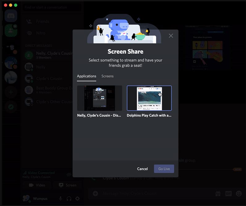 Discord Screen Sharing